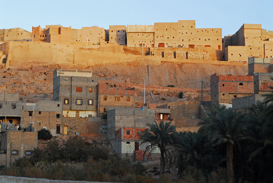 Algeria, Melika, palm trees with residential buildings in background against clear blue sky