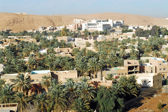 Algeria, Melika, high angle view of buildings surrounded by trees with hill in the background