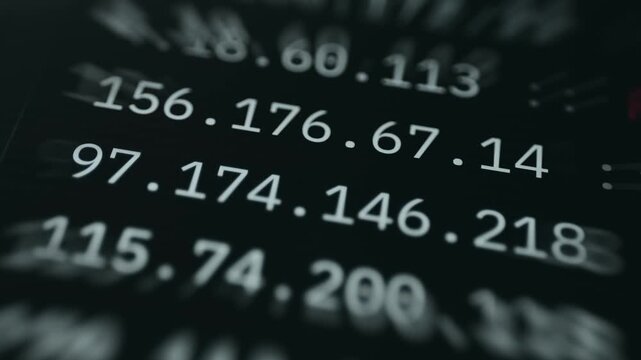 Network dashboard displaying public IPv4 addresses
