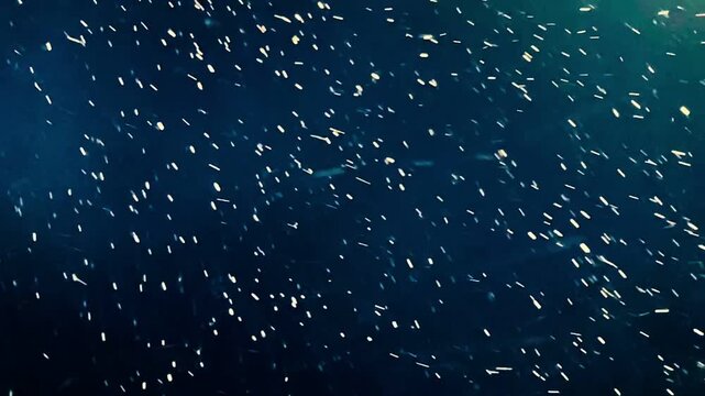 青い空と雪