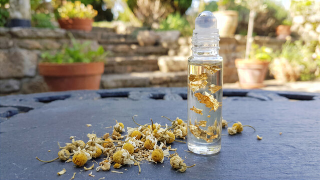 Clear glass roller bottle with transparent wellness oil and gold flakes next to raw chamomile herbs