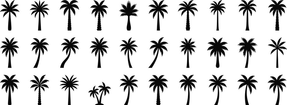palm or coconut trees vector illustration set.