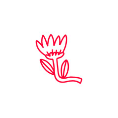 Fototapeta premium Flower graphic design vector illustration