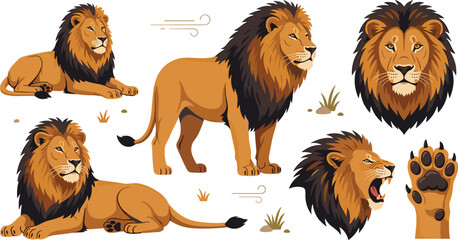 Male Lion Vector Illustration Set Featuring Standing Roaring and Lying Poses Close Up Mane Portrait Head and Paw Claw Elements for Wildlife Graphic Designs © Mst