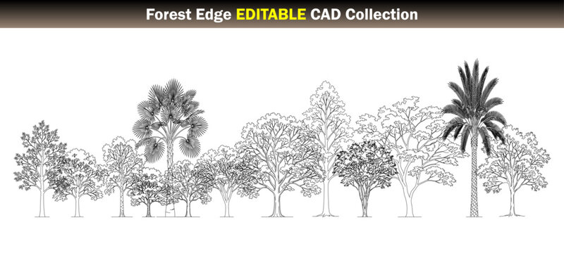 Forest Edge Editable CAD Collection Side Elevation &ndash; Architectural Forest Boundary Trees and Woodland Landscape CAD Blocks