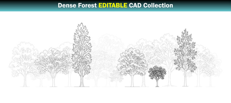 Dense Forest Editable CAD Collection Deciduous, Evergreen, Woodland Trees, Forest Edge and Natural Landscape &ndash; CAD Block Set Side Elevation, Clean Thin Line Architectural Style