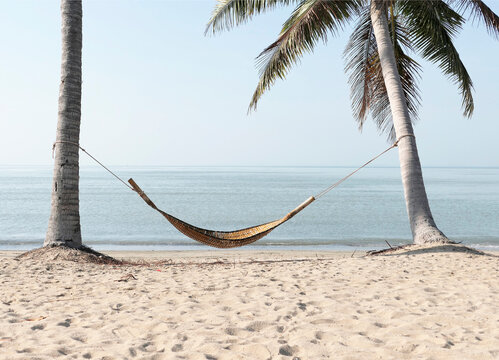 A bamboo hammock hangs under a coconut tree on the beach by the sea.
