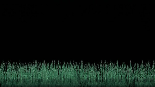 Green Grass Growing on Black Background for Environmental Nature Video Production Motion Graphics Overlay