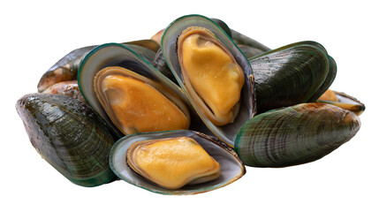 Fresh green mussels with bright orange flesh © Lena