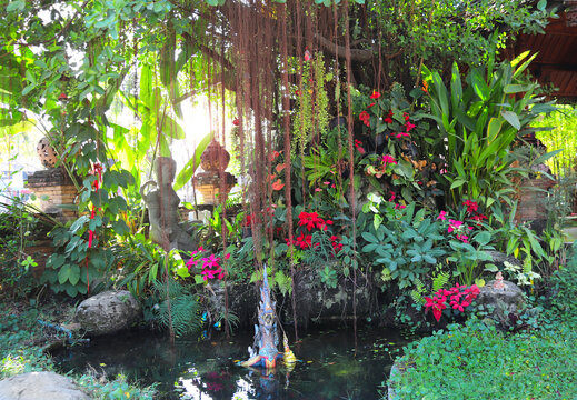 Picturesque scene with small pond and plants. Tranquil pond in jungle-like garden, creating calm atmosphere conducive to meditation and relaxation. Tropical garden is great place to rest and meditate