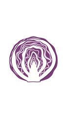 Fototapeta premium High-detail illustration of a halved purple red cabbage showing the intricate white internal vein structure, isolated on white.