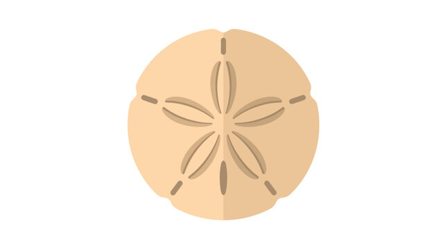 Sand dollar illustration depicts marine life with detailed design on its surface 20260703