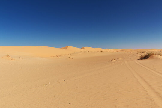 Nature of Sahara Desert, Mauritania, West Africa