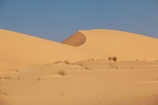 Nature of Sahara Desert, Mauritania, West Africa
