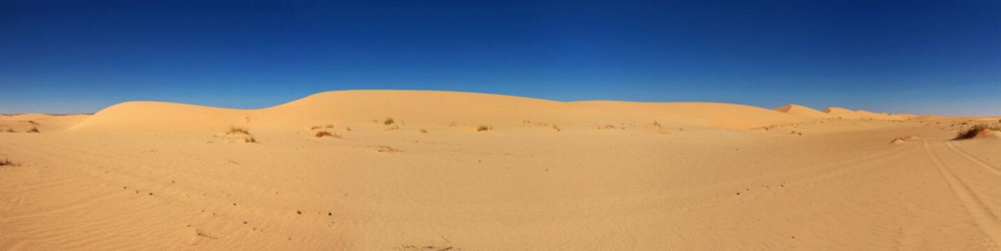 Nature of Sahara Desert, Mauritania, West Africa