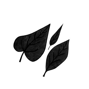 Leaf Shapes Hand Drawn Sketch