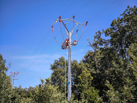 Poste el&eacute;trico de m&eacute;dia tens&atilde;o com equipamentos de corte e isoladores vermelhos em meio a um ambiente florestal sob um c&eacute;u azul