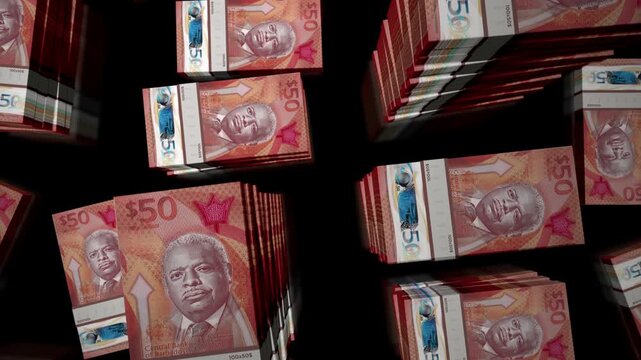 Barbados Dollar barbadian money notes packs loop. 3D flight over 50 BBD banknotes stacks towers. Loopable seamless abstract background concept of business, economy crisis and finance.