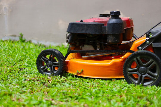 An orange engine-powered lawn mower being used to cut green grass in a backyard garden.