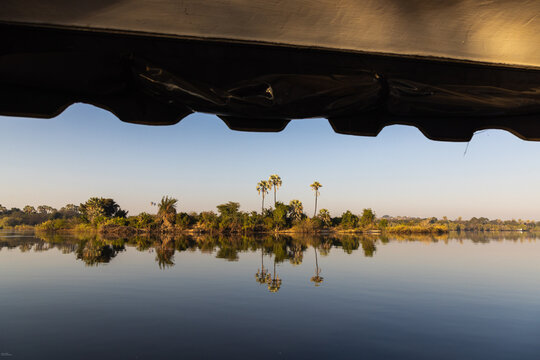 sunrise on palm trees and the mighty Zambezi River, Zimbabwe, Africa