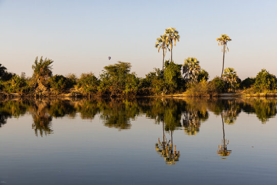 sunrise on the Zambezi River, palm trees, 