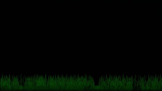 Green Grass Growing on Black Background for Environmental Nature Video Production Motion Graphics Overlay
