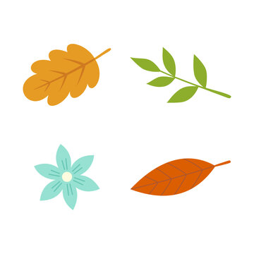 Autumn leaves and flower elements. Set of autumn nature decorative elements vector illustration.