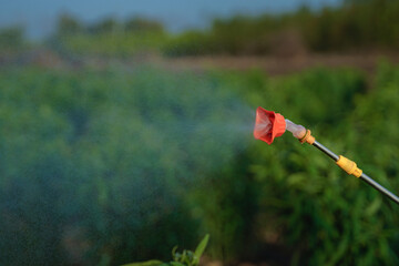Obraz premium Close-up view of a farm sprayer spraying crops in a lush green agricultural field during sunny daytime.