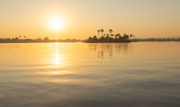 mist, fog, and palm trees at sunrise on the Zambezi River, Zambia, Africa