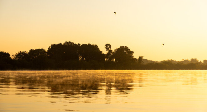 mist, fog, and palm trees at sunrise on the Zambezi River, Zambia, Africa