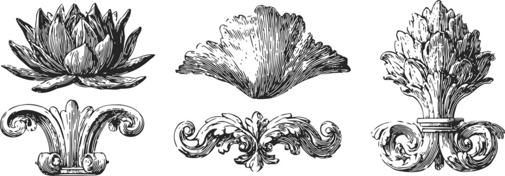 Ornate architectural capitals engraving set classic vintage floral scroll decorative elements vector illustration