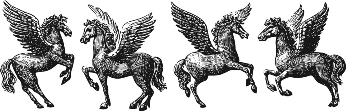 vector illustrations of vintage pegasus horses in various winged poses
