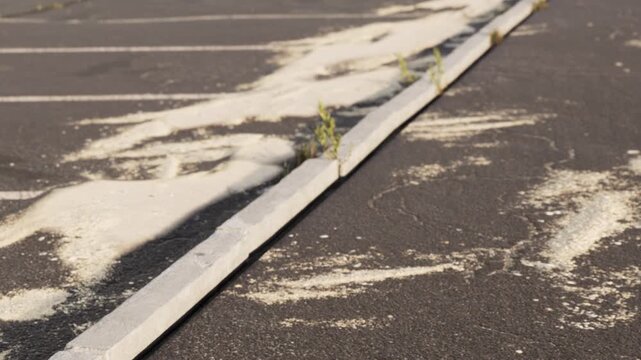 A parking lot shows cracks in the asphalt where small plants are growing. Dust and debris are on the ground. The scene is in an urban location during daylight.