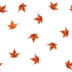 Obraz premium pattern tree maple leaf cartoon. foliage color, season orange, brown green tree maple leaf sign vector