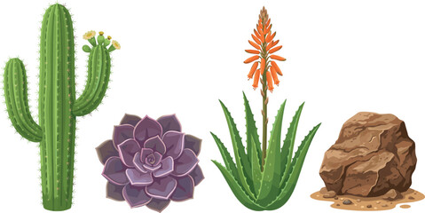 Desert Desert Flora and Succulents Vector Set with Flowering Saguaro Cactus, Purple Echeveria Rosetta, Blooming Aloe Vera Plant, and Big Brown Rock © EdGe Creative