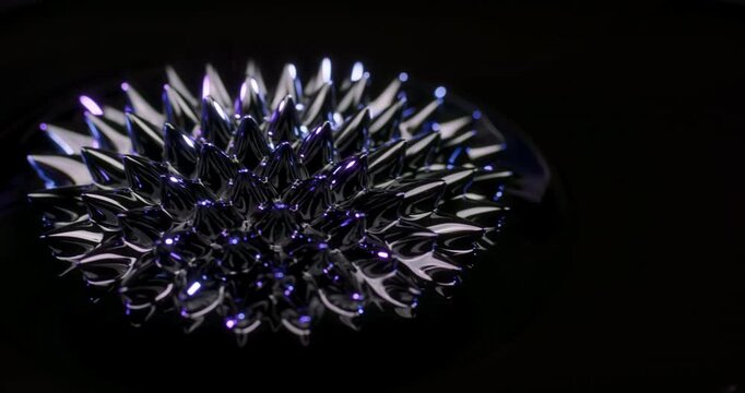 This stunning visualization showcases mesmerizing ferrofluid patterns flowing against a black background, serving as excellent inspiration for motion graphics and abstract design projects