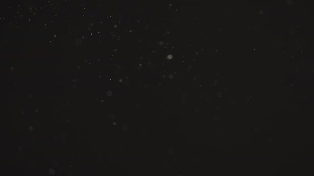 Floating dust particles over dark background with shallow focus