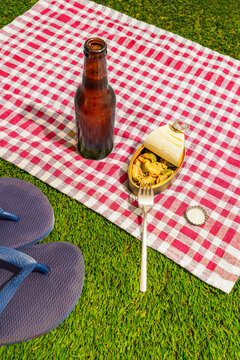 A summer picnic features beer and a canned appetizer on the grass