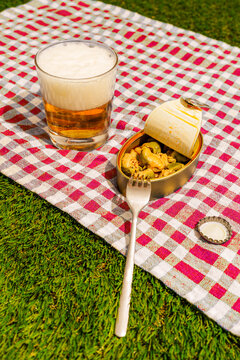 A glass of beer and canned mussels rest on a checkered picnic blanket