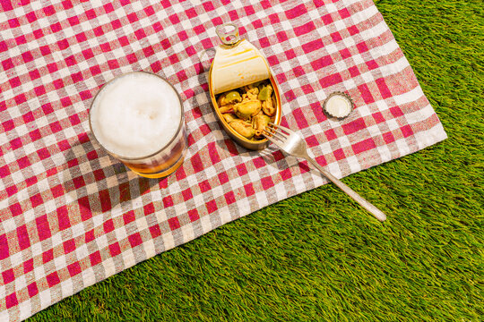 A glass of beer and canned seafood sit on a picnic blanket