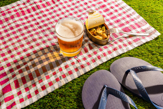 A cold beer and canned mussels sit on a picnic blanket in the grass