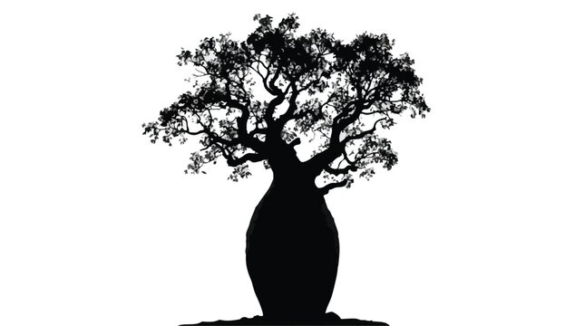 Baobab tree silhouette vector, African bottle tree isolated on white background, ancient adansonia plant icon for nature and environmental design