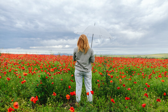 Woman stands outdoors in a poppy field holding a white umbrella