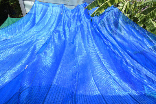 Bright Blue Tarpaulin Covering Outdoors with Green Foliage in Background