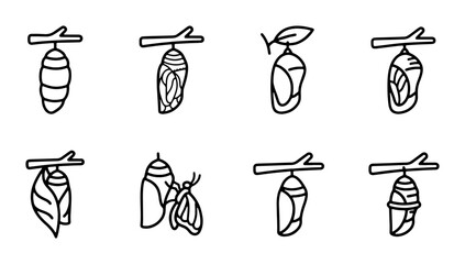 Butterfly Metamorphosis Stages, Insect Life Cycle Vector Icons, Chrysalis Development Collection © Jannatul 