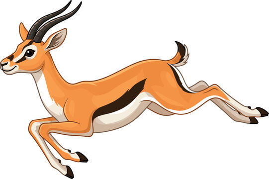 Thompson gazelle vector illustration running and jumping graceful African antelope wildlife character isolated on white background for safari animal designs.