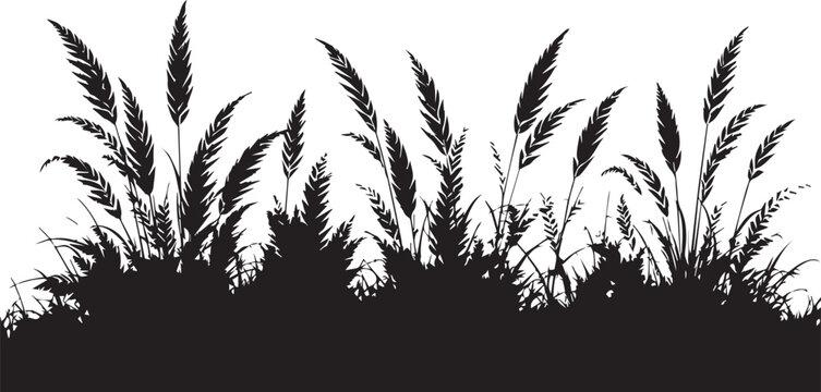Decorative black silhouette border of wild grass and seed heads with silhouette botanical illustration isolated greenery landscape background