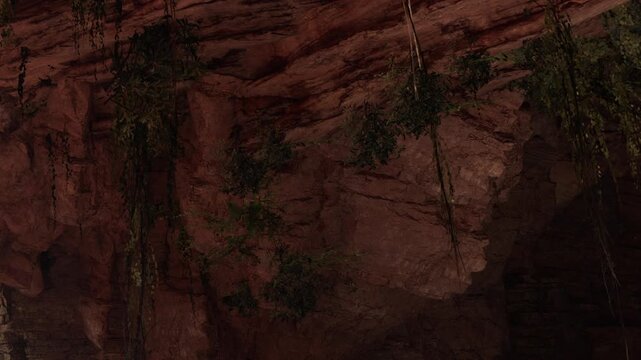 A group of people is inside a cave looking at the rock walls. Lush plants hang from the ceiling, and the environment is dark and earthy. Light enters from outside, enhancing the features of the cave.
