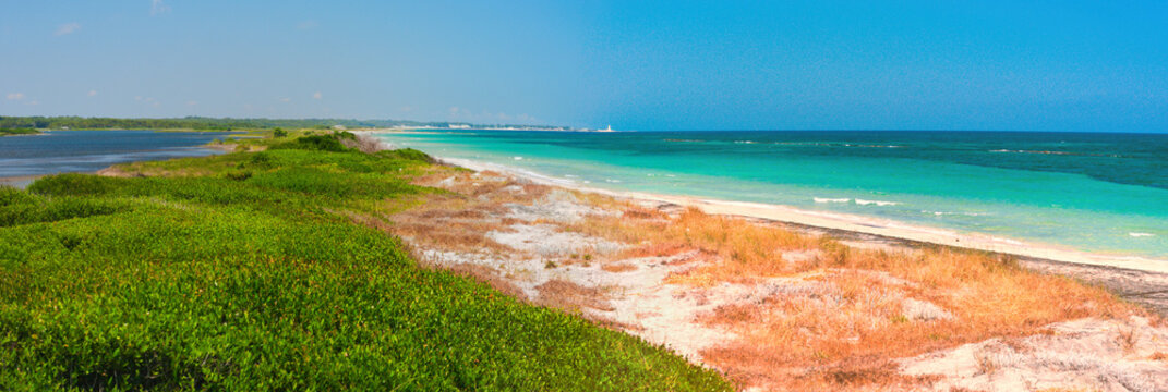 Wide format view of the coastal dune separating the Pantano Grande marsh (left) from the Adriatic Sea of the ​​Salento (right). Le Cesine wetland and state nature reserve,, Lecce Province, Italy