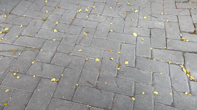 Yellow autumn leaves scattered on grey paving stone floor